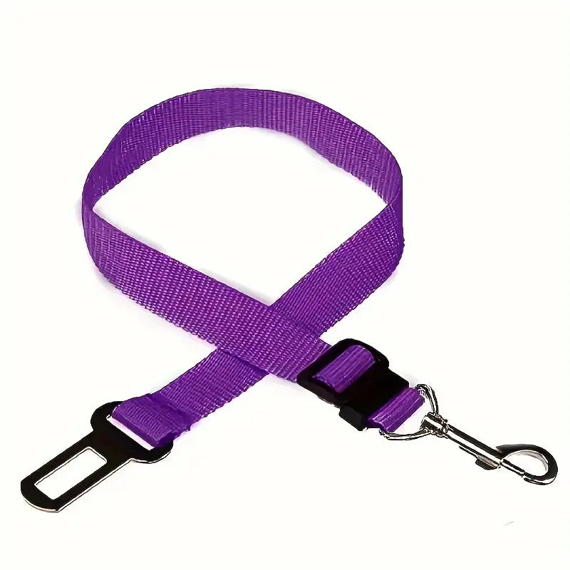 CINTURA DI SICUREZZA AUTO