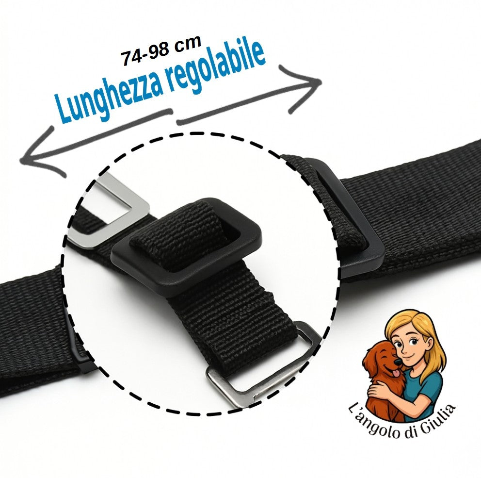 CINTURA DI SICUREZZA AUTO